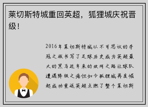 莱切斯特城重回英超，狐狸城庆祝晋级！